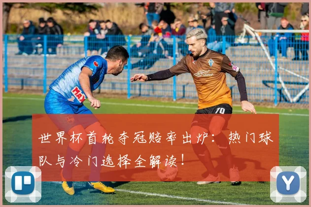世界杯首轮夺冠赔率出炉：热门球队与冷门选择全解读！